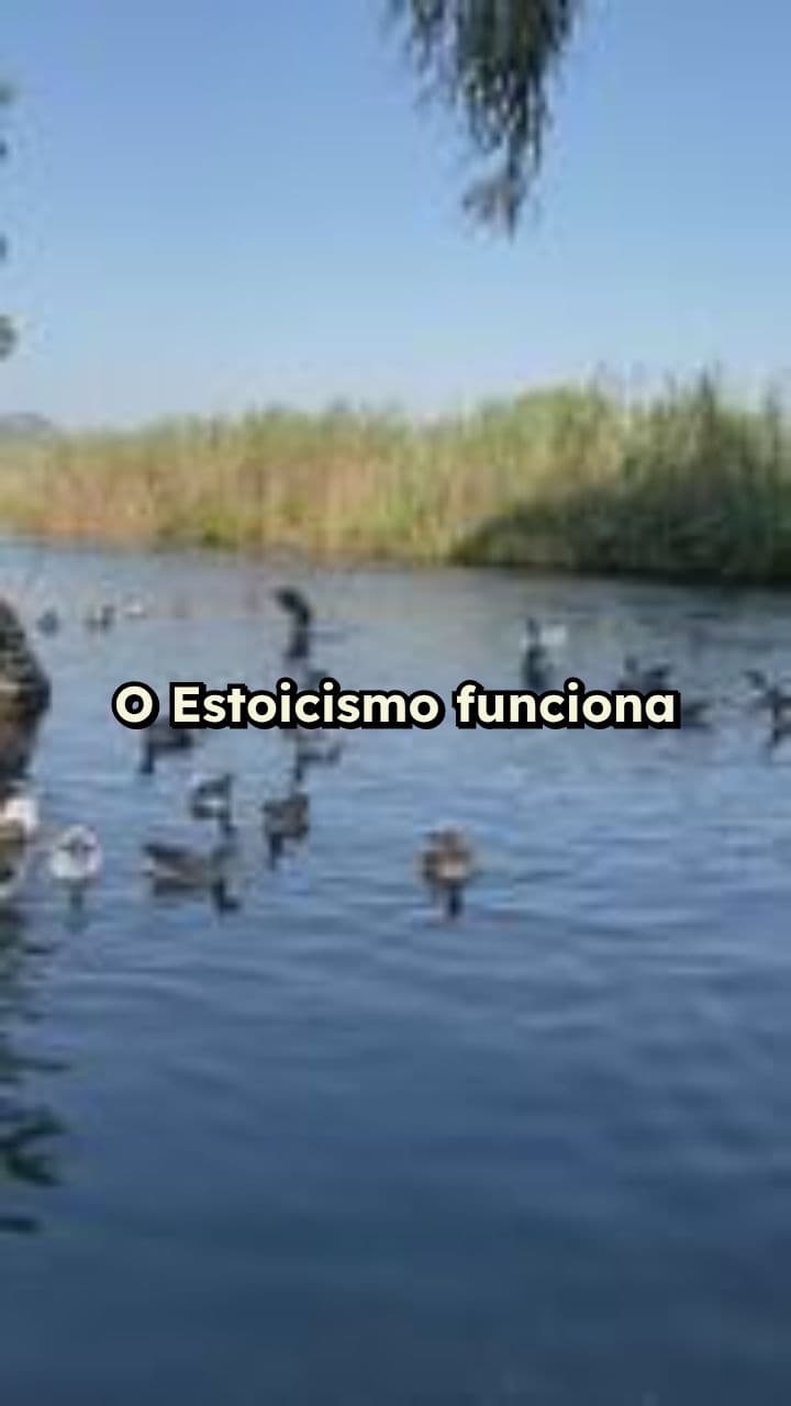 Estoicismo e Espiritualidade: Dois Idiomas do Silêncio