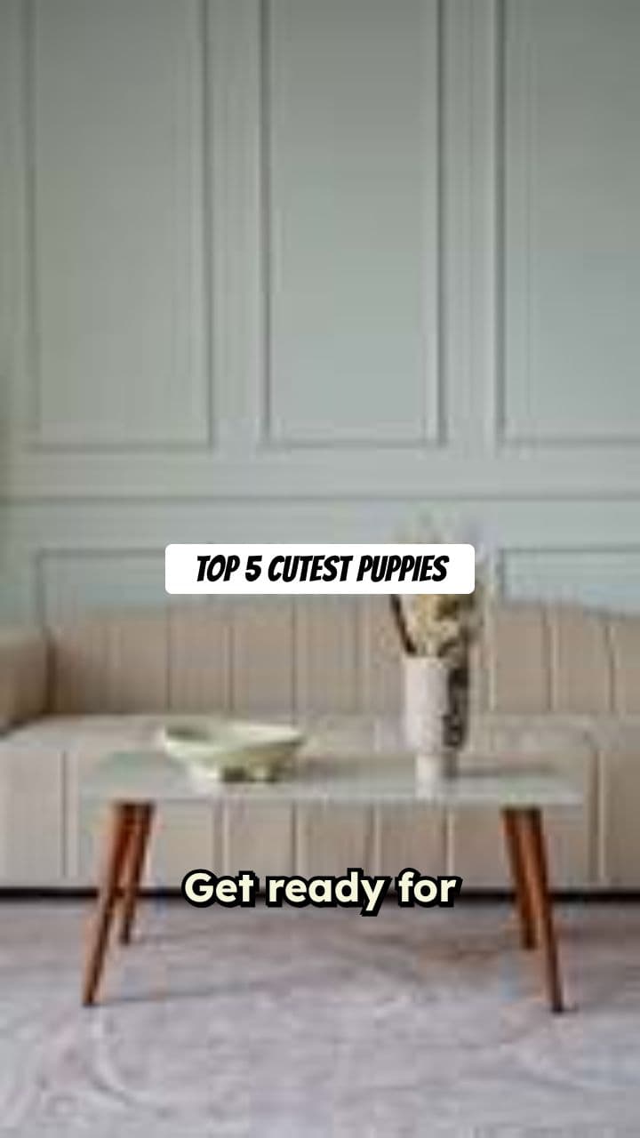 Top 5 Cutest Puppies on the Internet Today