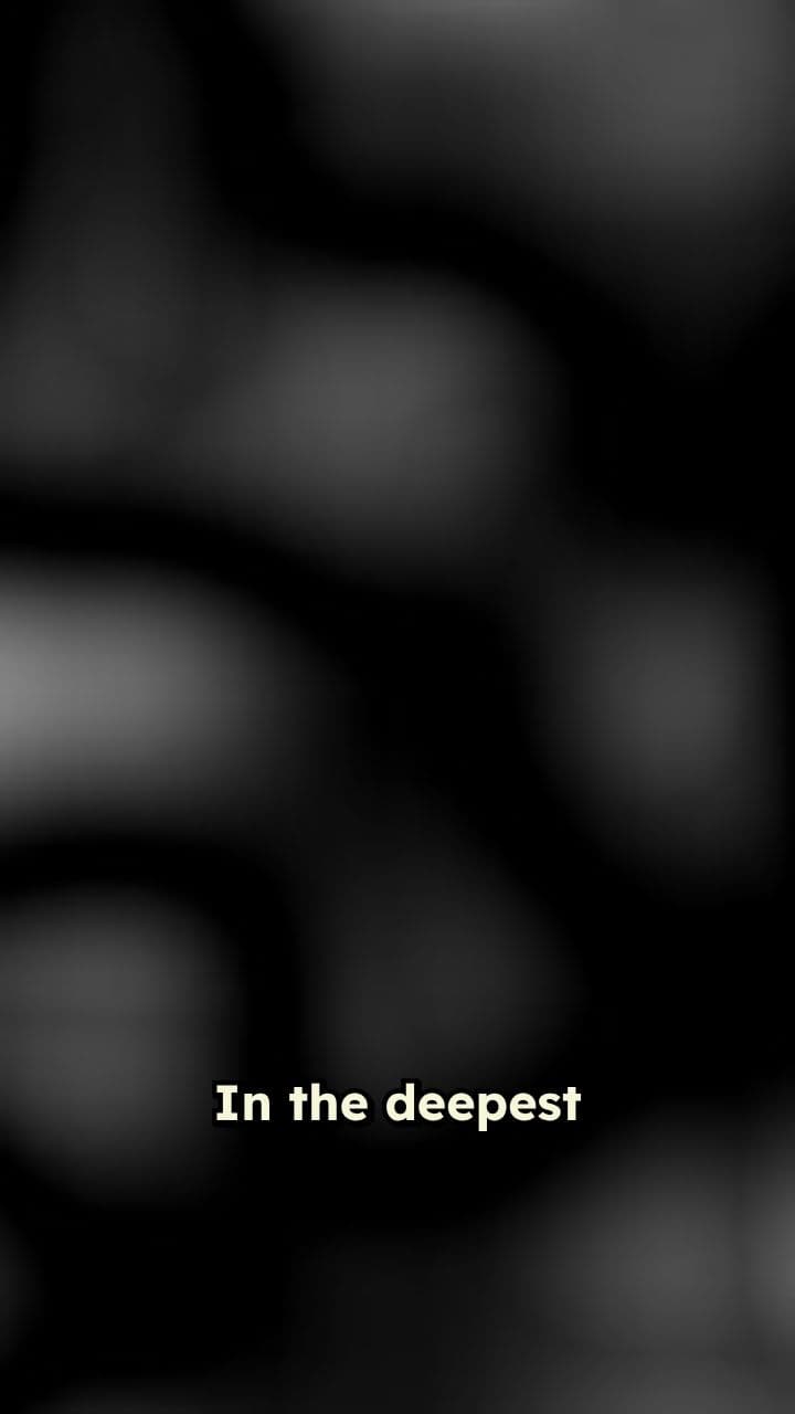 The Inevitable System: A Classified Transmission