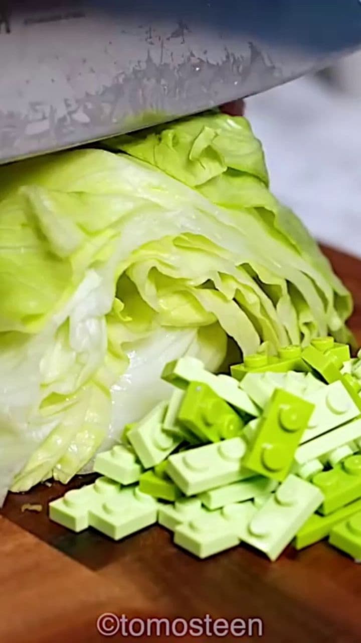 Revolución y Colonialidad en Latinoamérica