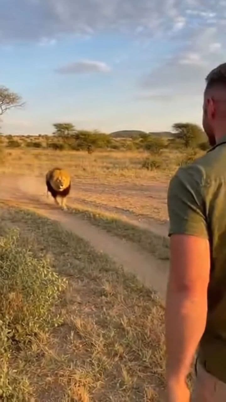 You're Heavier Than I Remember