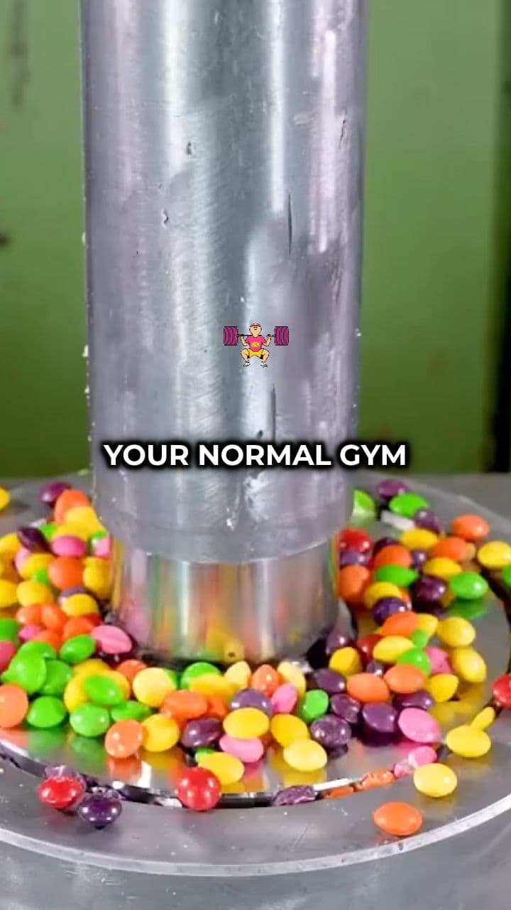 Global Gym Culture: A World Apart