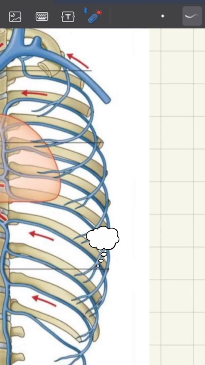अज़ाइगस वेन और हार्ट ड्रेनेज