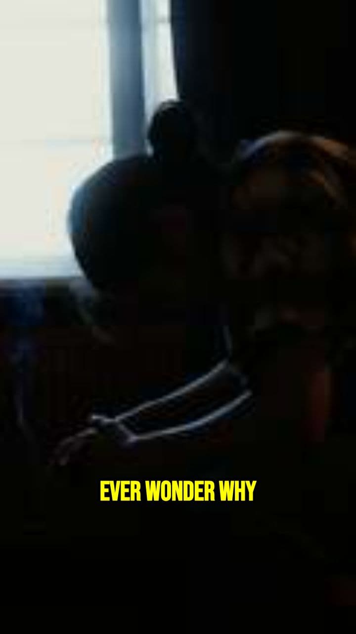 COMT Gene: Thrive or Struggle Mode