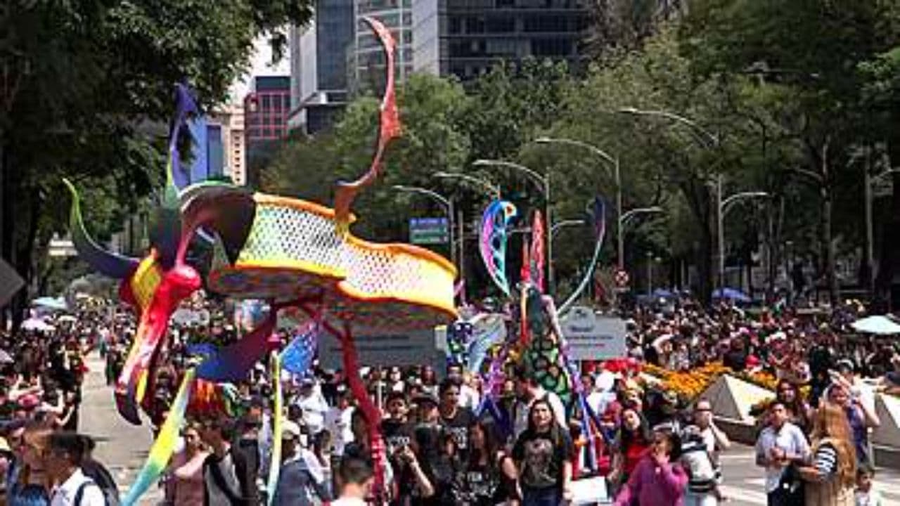 Rosario, la Chica Brillante