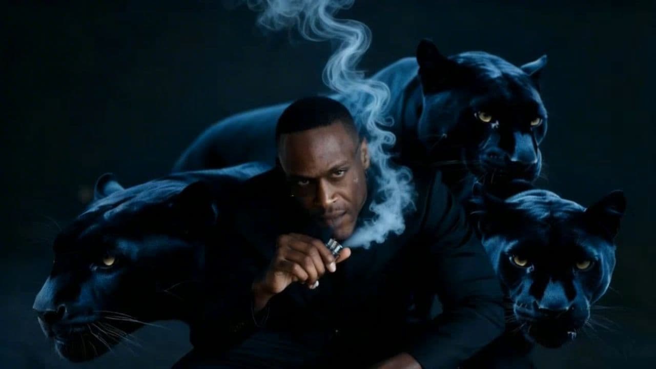 Image transform video