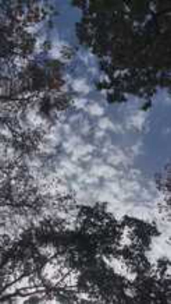 Finding My Own Light