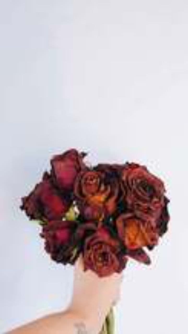 Erloschene Liebe und bleibende Narben