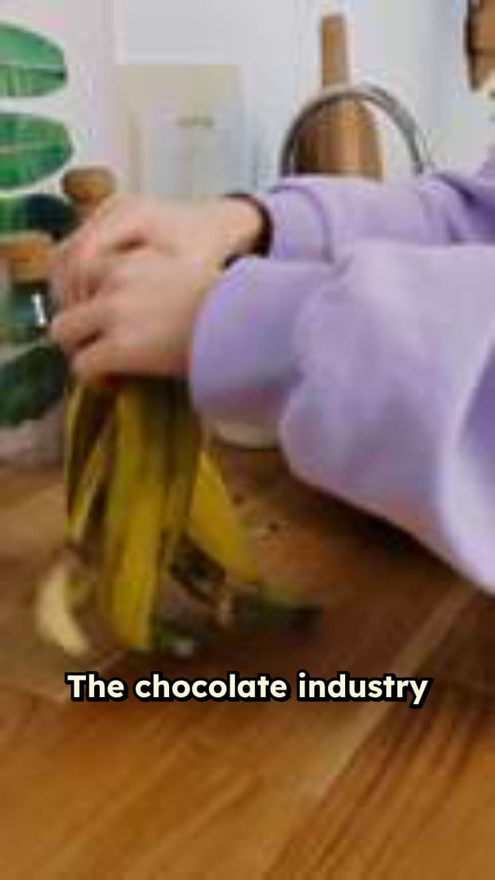 Cocoa Pulp Juice That Saves Fruit