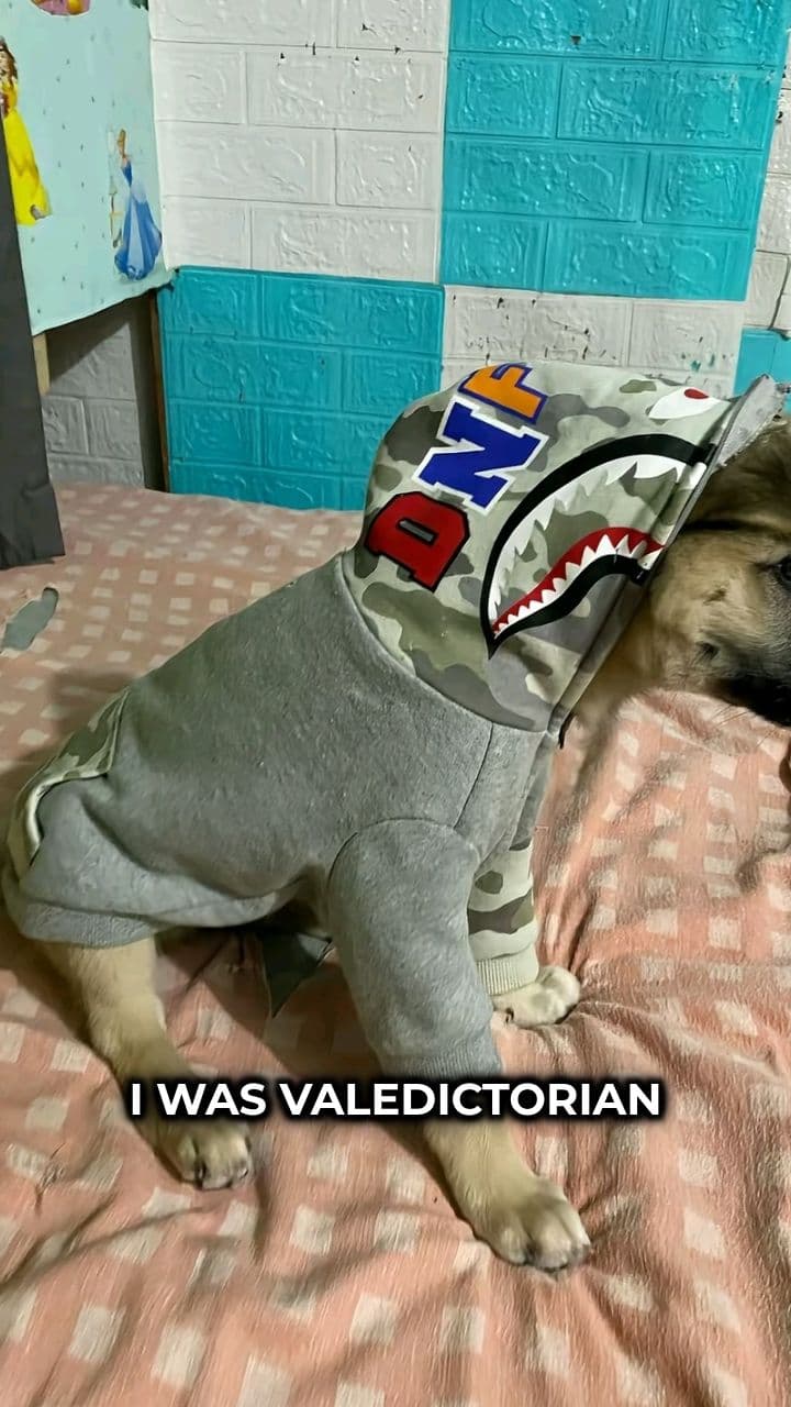 From Streets to Soundtracks