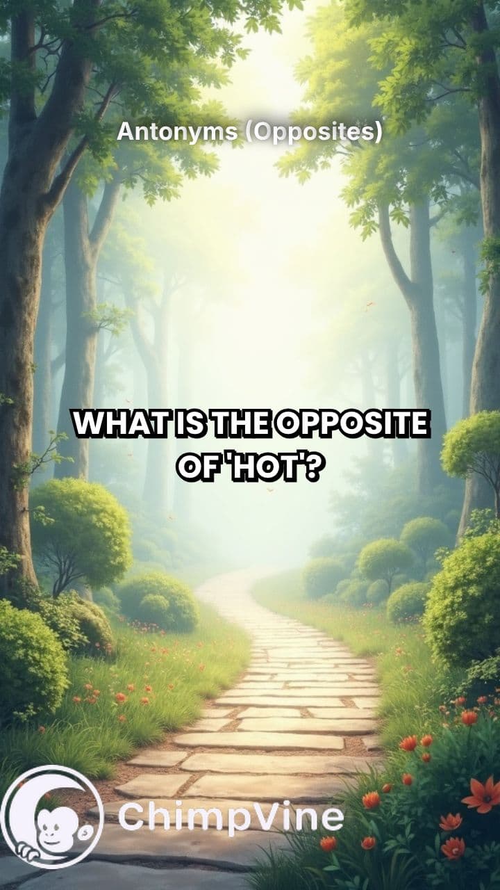 Antonyms (Opposites)