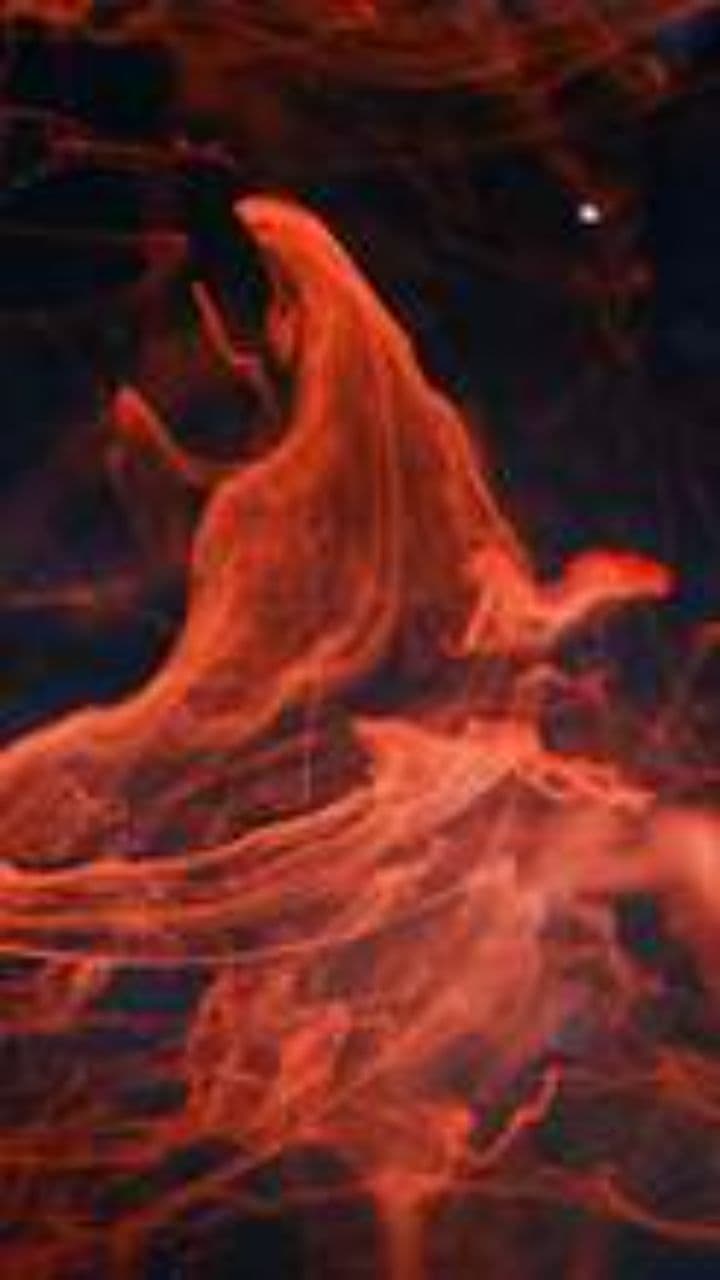 Hawaiian Punch Man on Campus