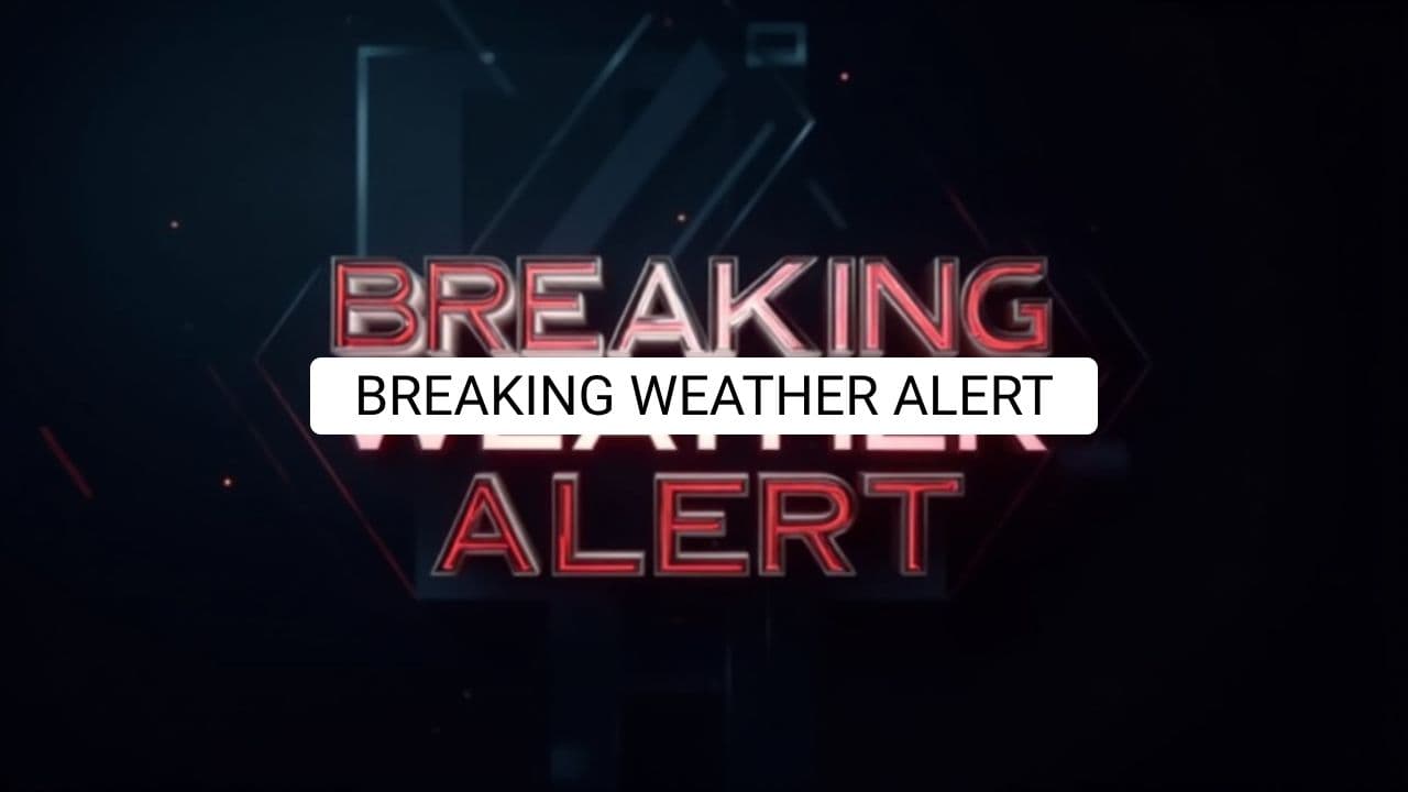 Emotional Weather Alert: Tallulah's Mind