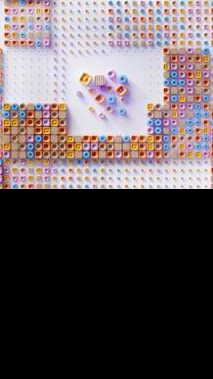 സിനുപോളെ മുതൽ നൂബിനിക്സ് വരെ വളർച്ച