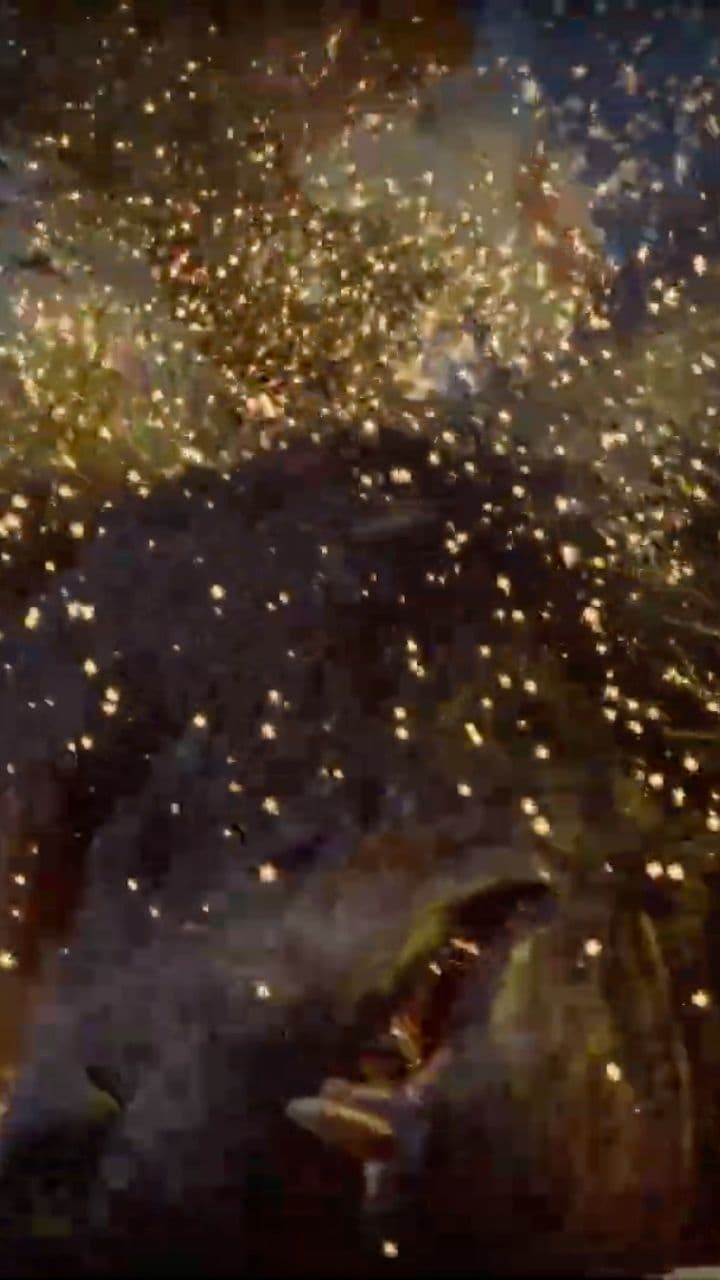 Stop Thinking Like a Father