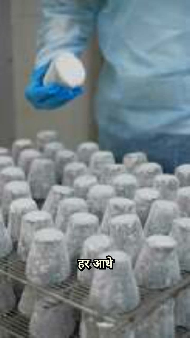 फैक्ट्री में क्वॉलिटी कंट्रोल के गुप्त नियम