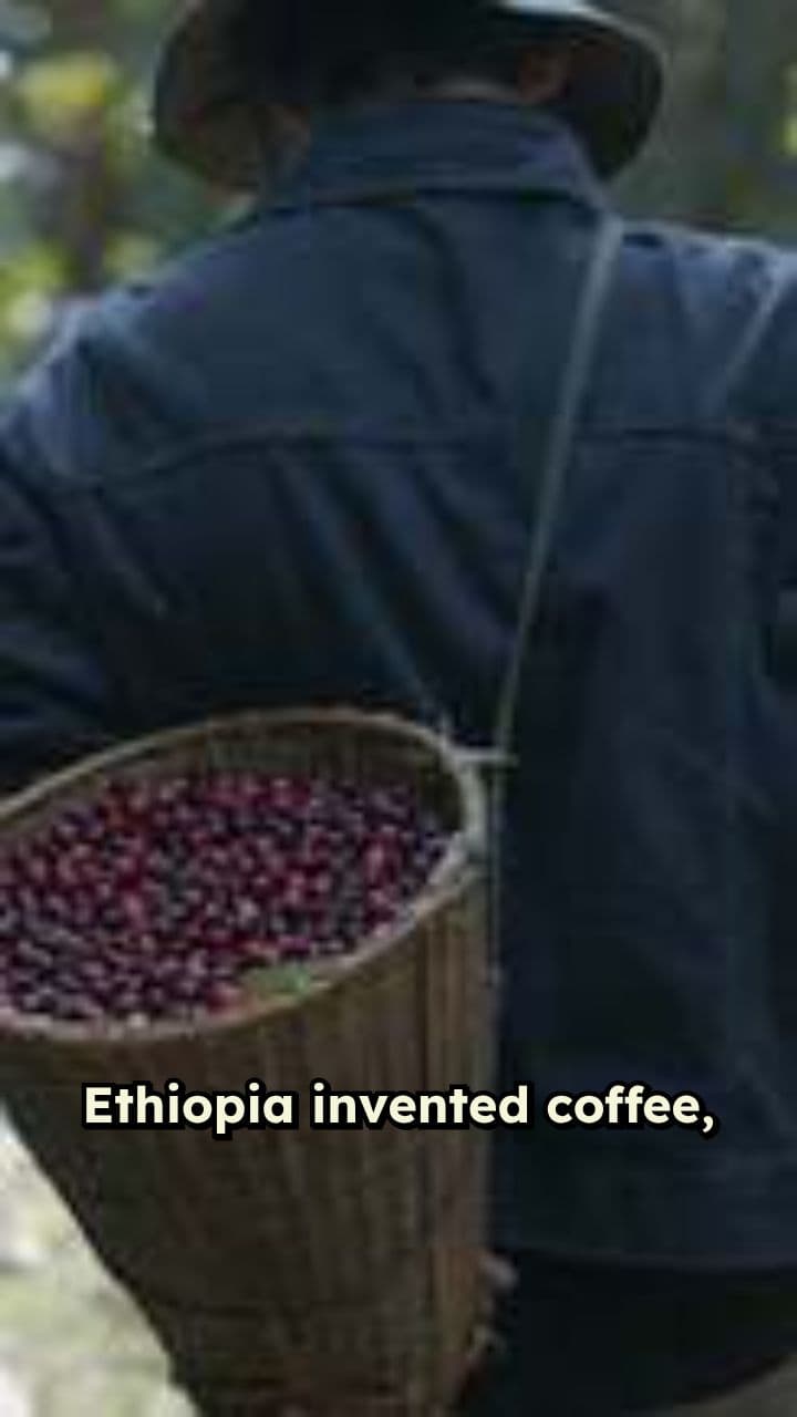 Ethiopian Coffee Ceremony: The Unmonetized Gift