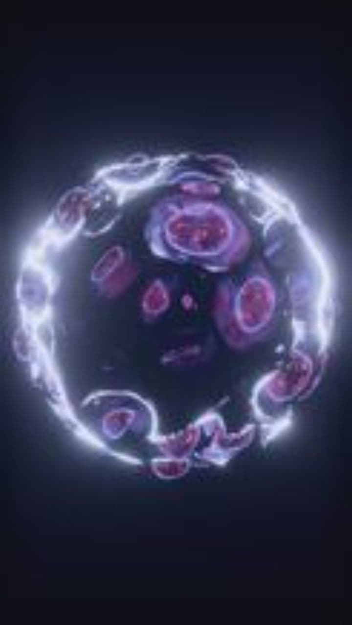 Dreaming in Stillness