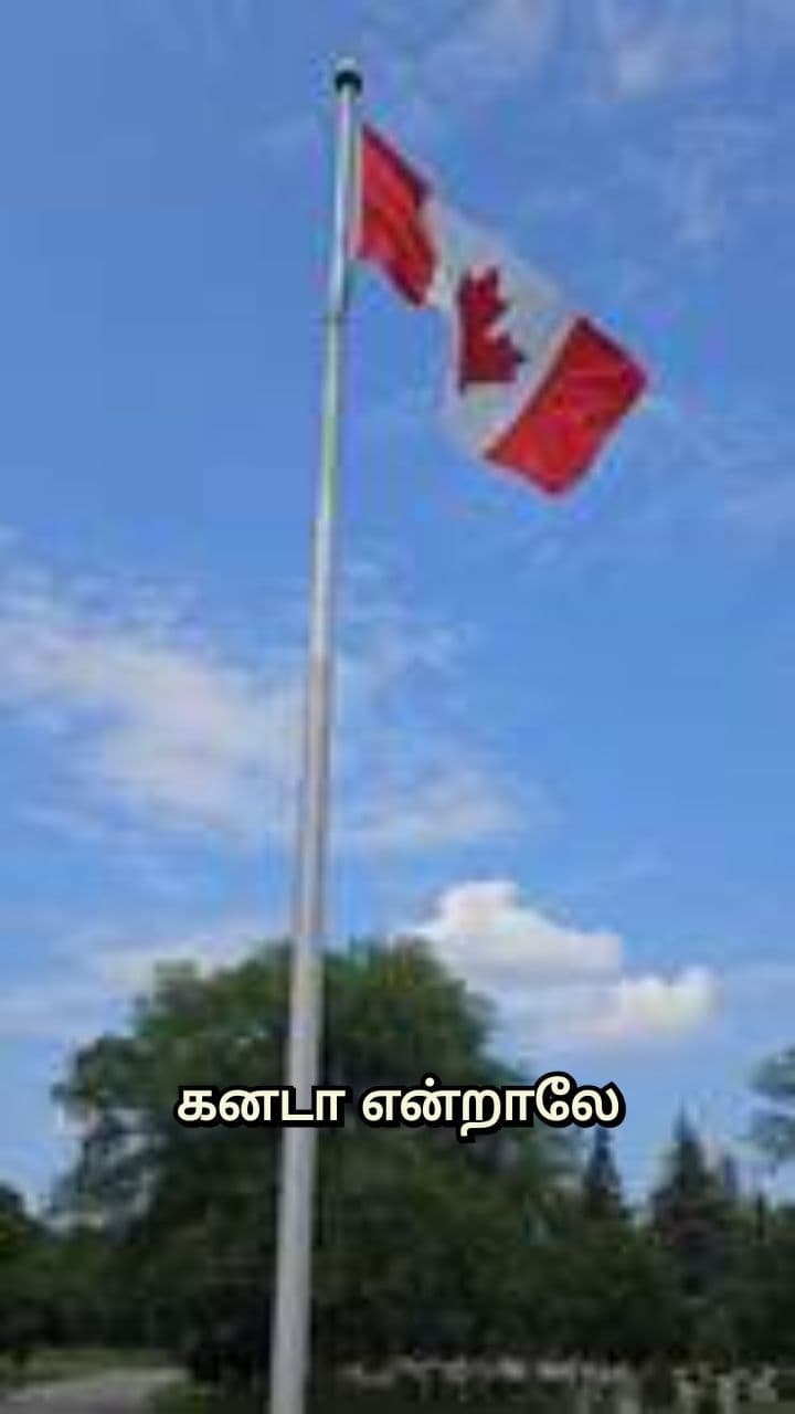 Canada’s Rising Deportations and Why