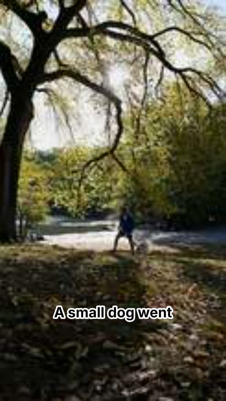 Loyalty at the Hospital Gate