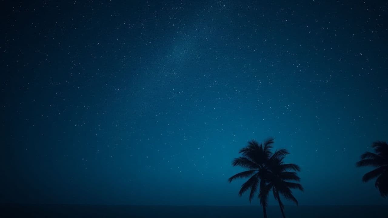 Noël en Harmonie à la Guadeloupe