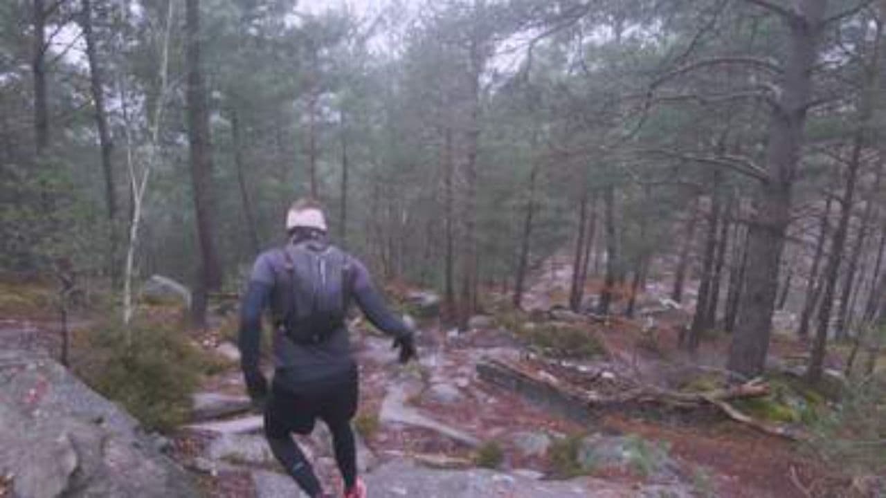 Guérisons et miracles dans l'Église évangélique