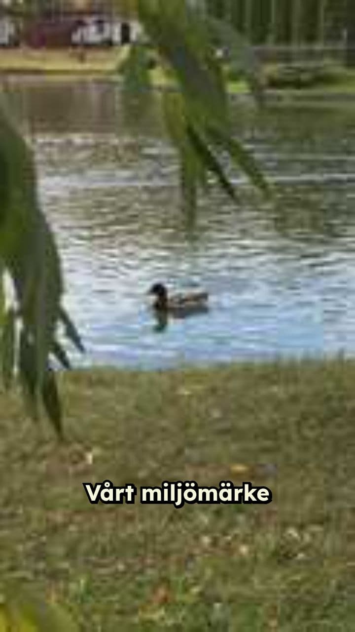 Miljömärke för djurvänliga skönhetsprodukter