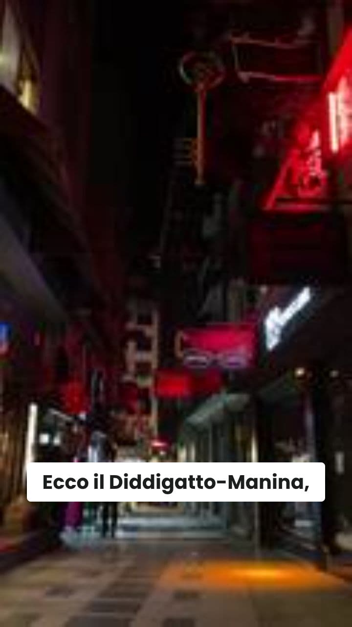 Le Avventure di Diddigatto-Manina