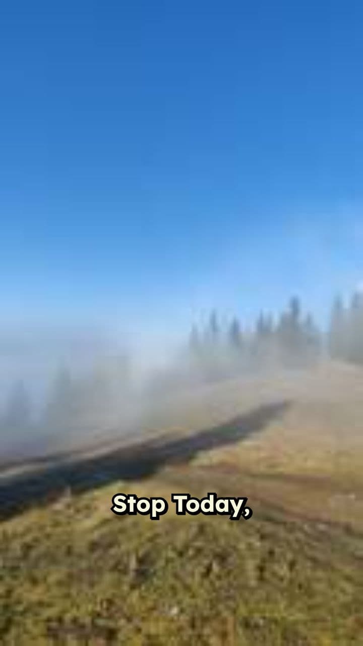 Enter a Peaceful Place of Relaxation