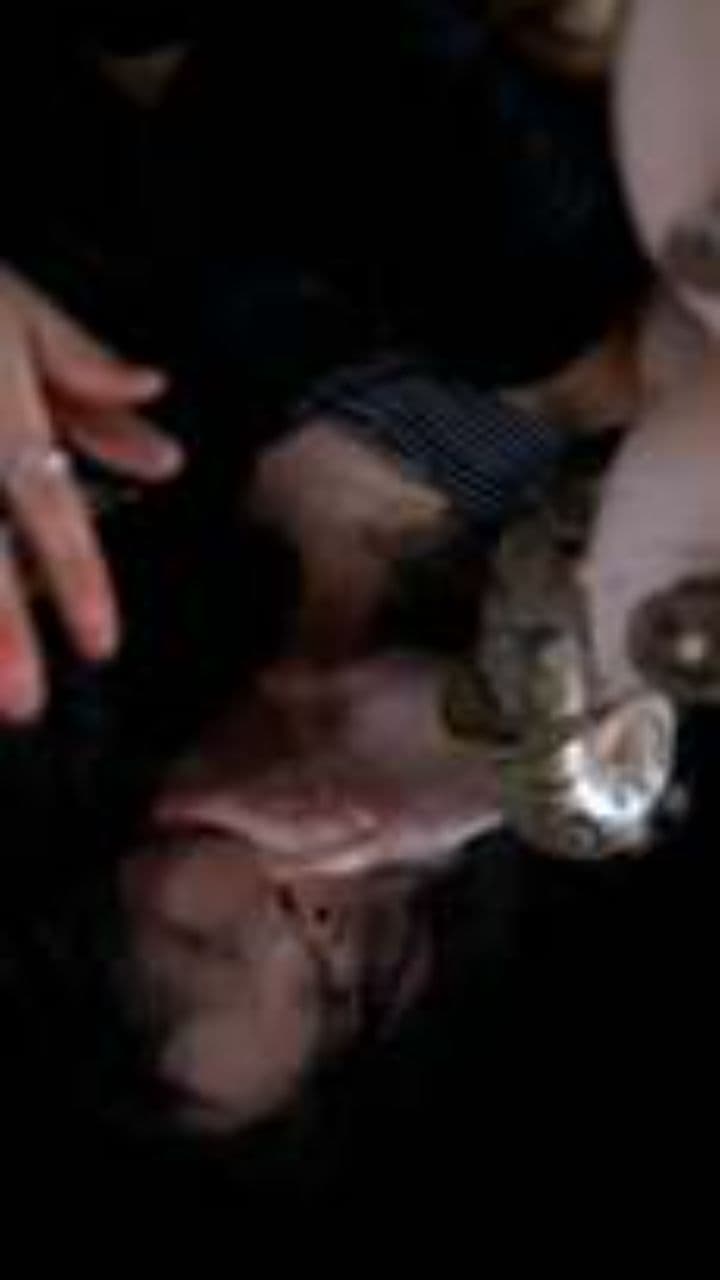 Recuerdos de Luz y Oscuridad