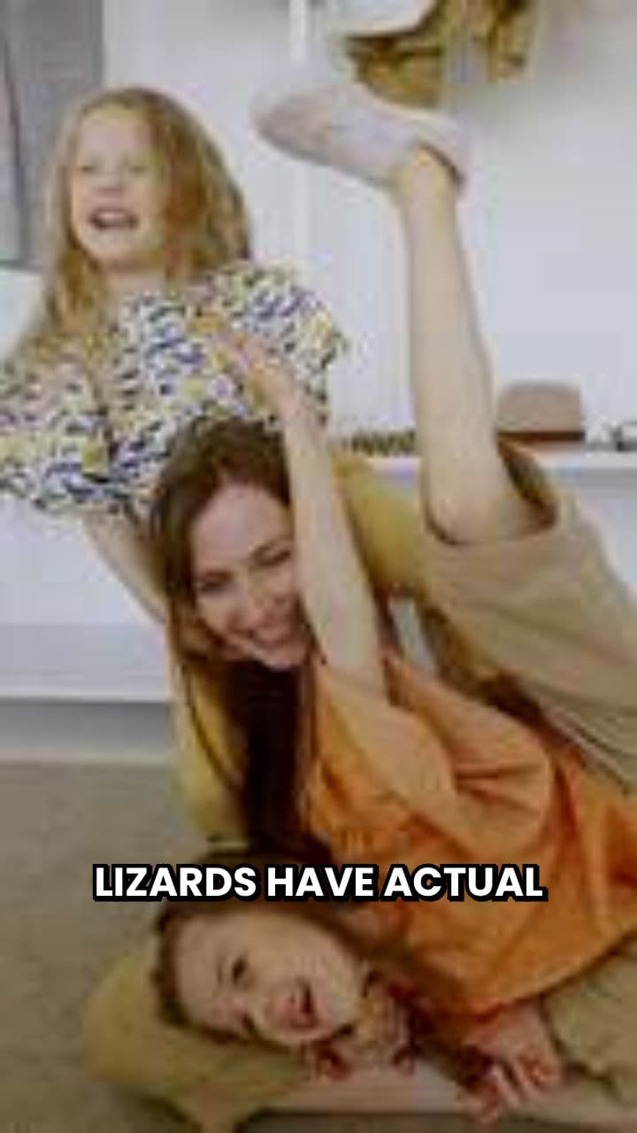 Lizards: More Than Just Cold-Blooded Pets