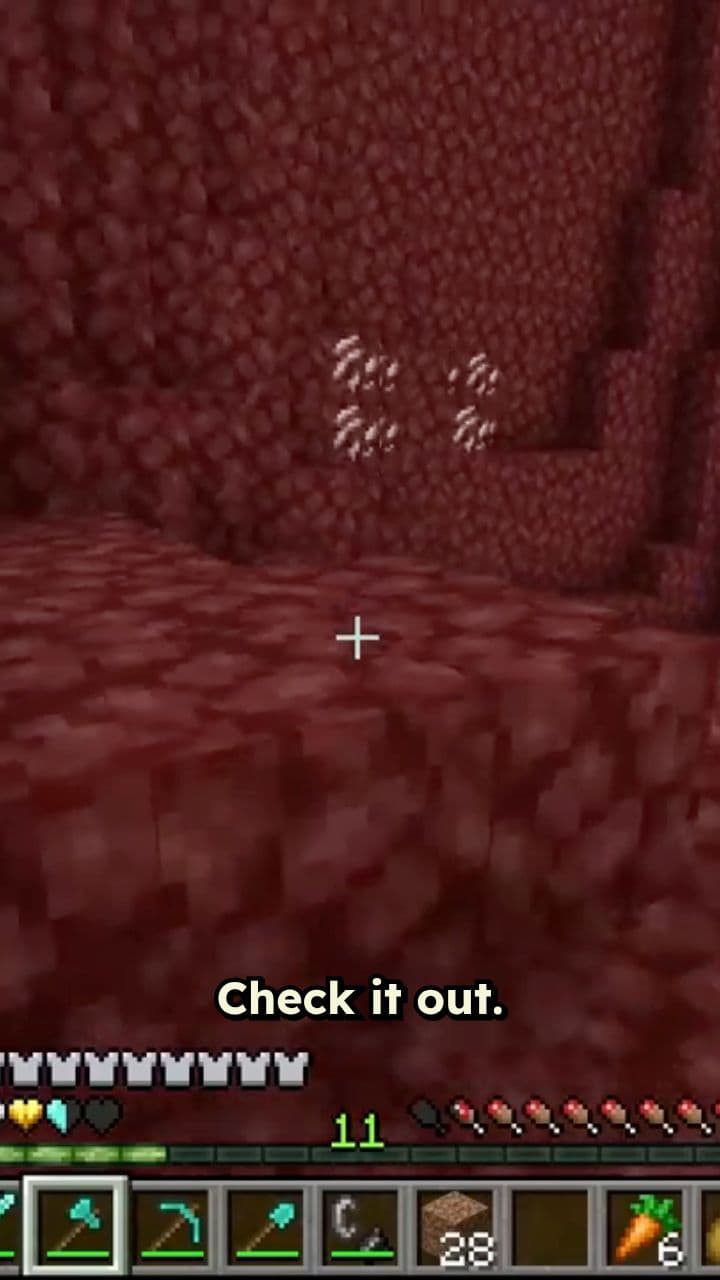 The Ultimate Power: The Dragon Heart