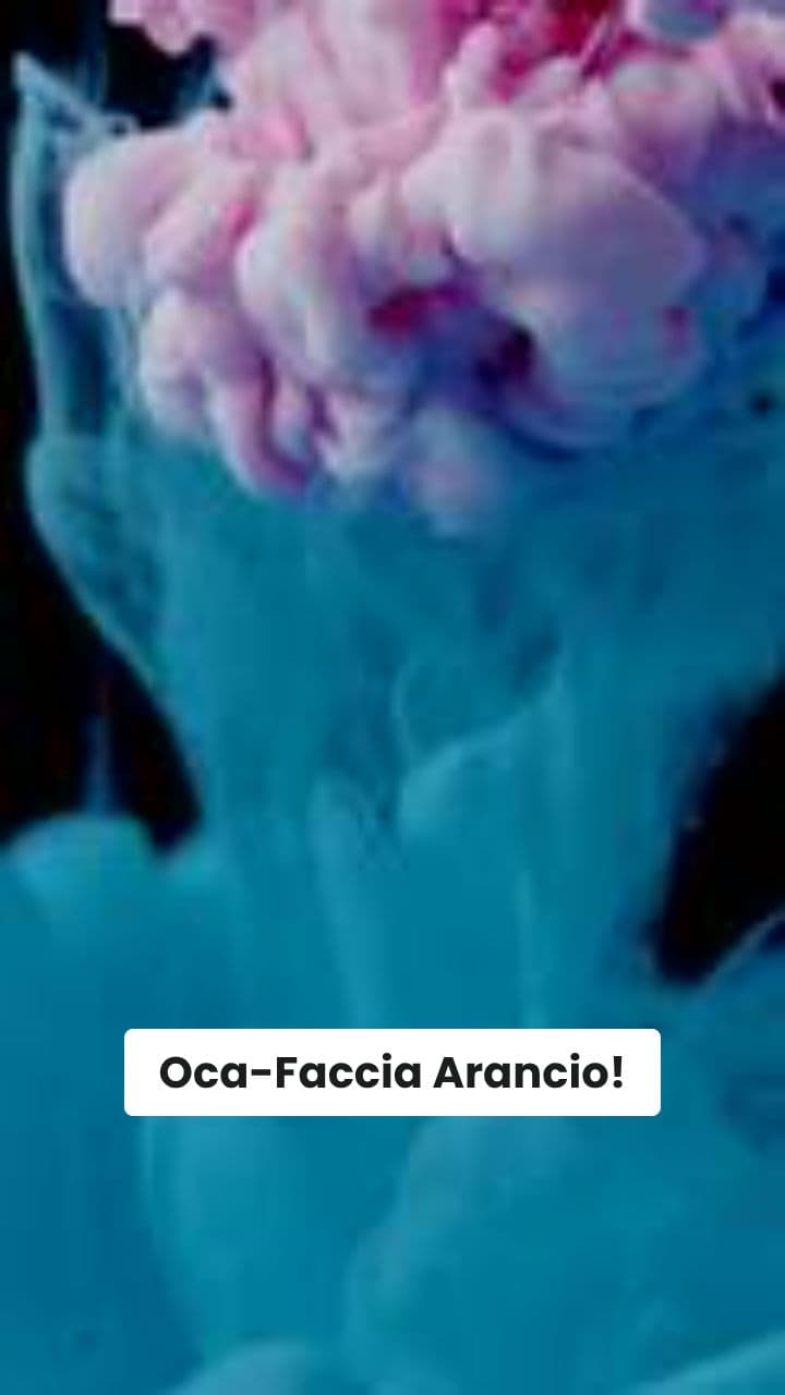 Le Avventure di Oca-Faccia Arancio