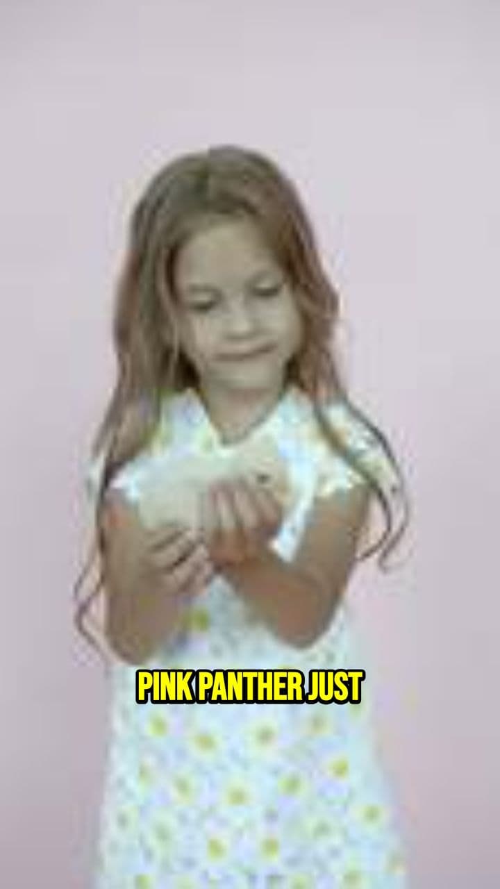 Pink Panther's Brilliant Heist