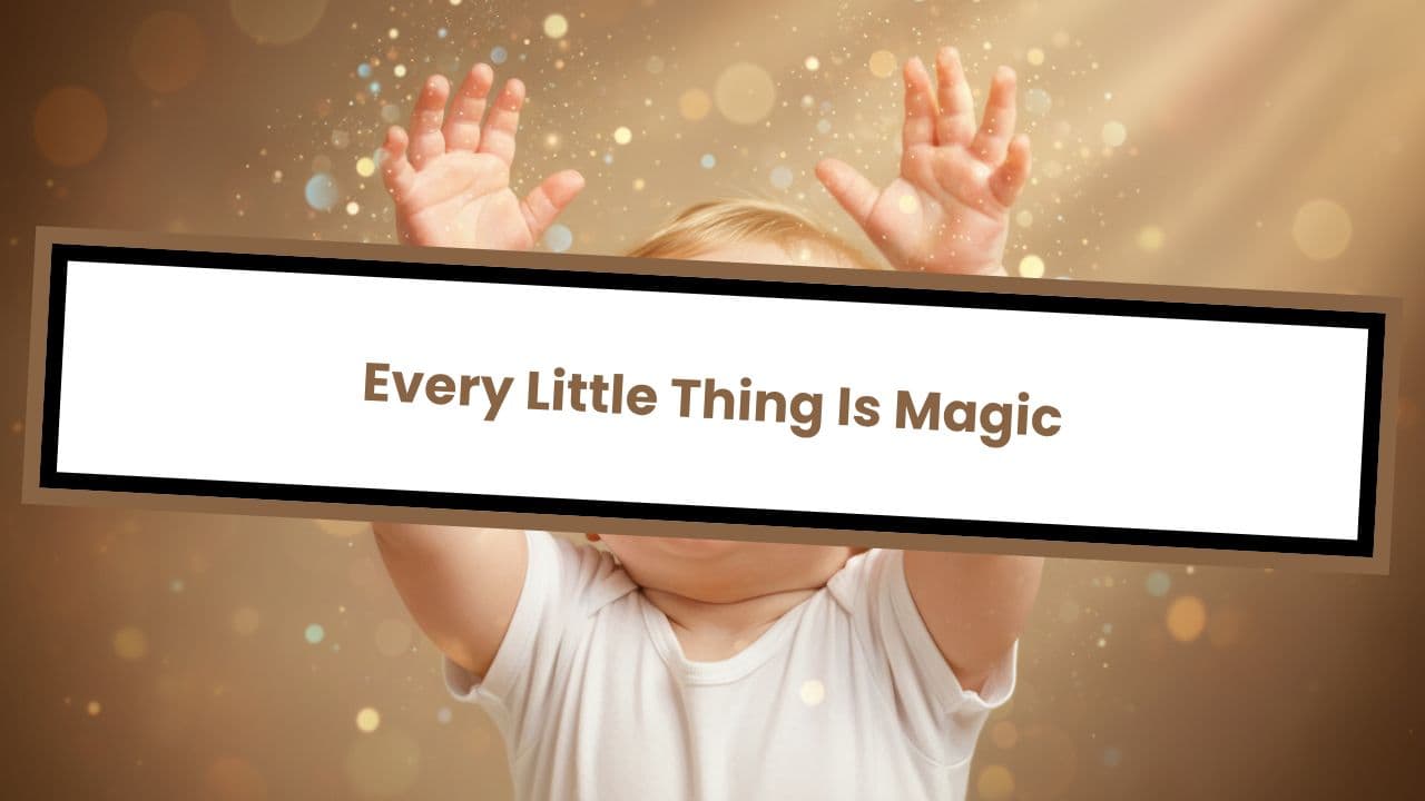 Every Little Thing Is Magic