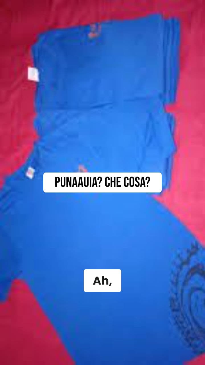 Il Quarto di Punaauia: Un Enigma Tessuto