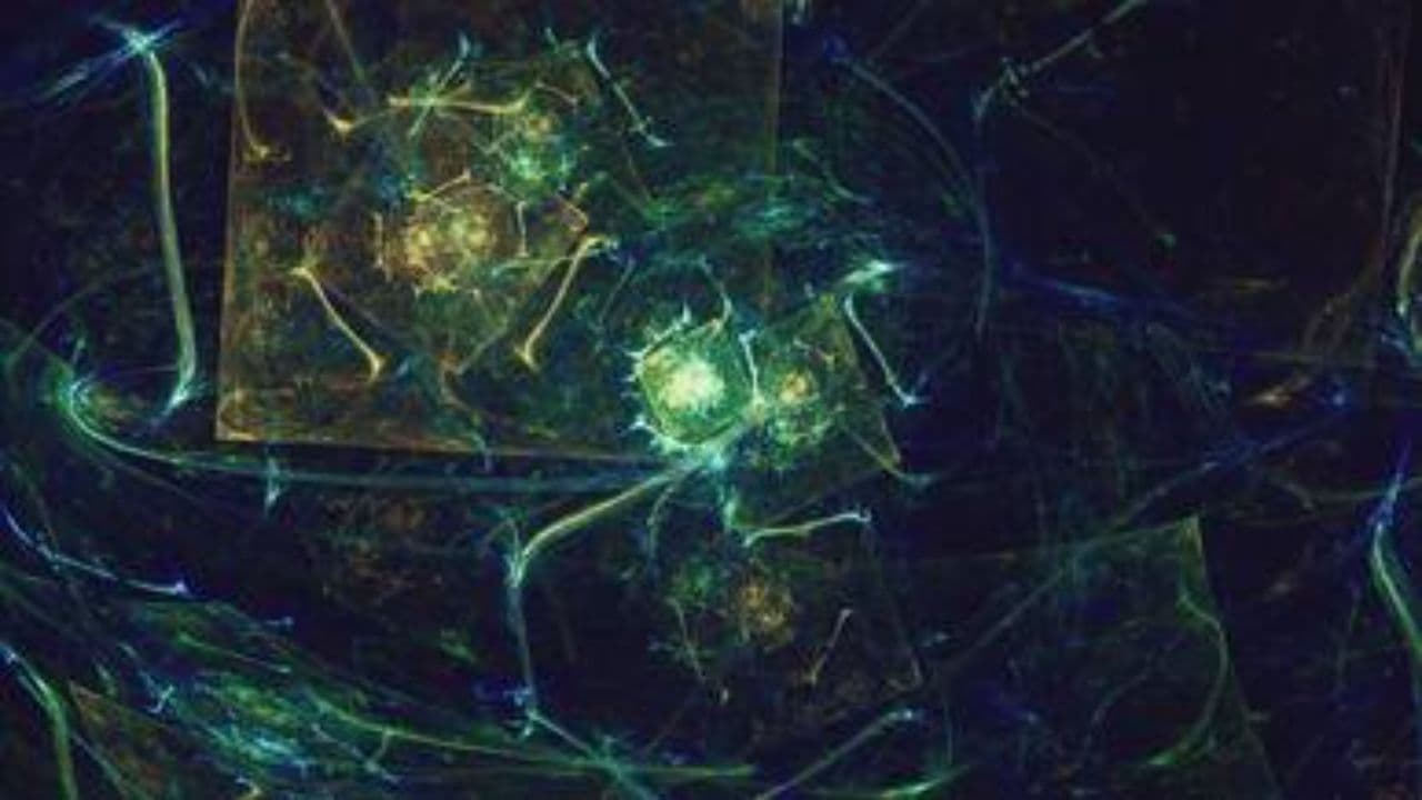 Vibrant Afrobeat Celebration Anthem