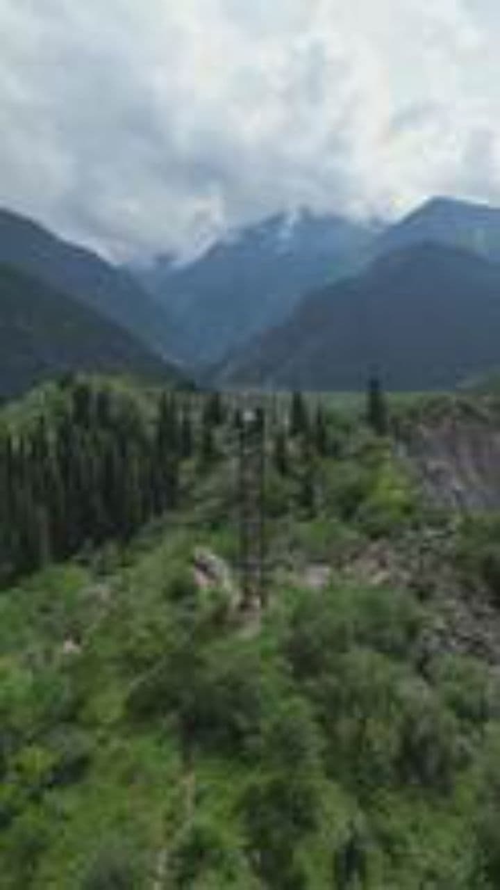 Live It-JK Nick Nichols