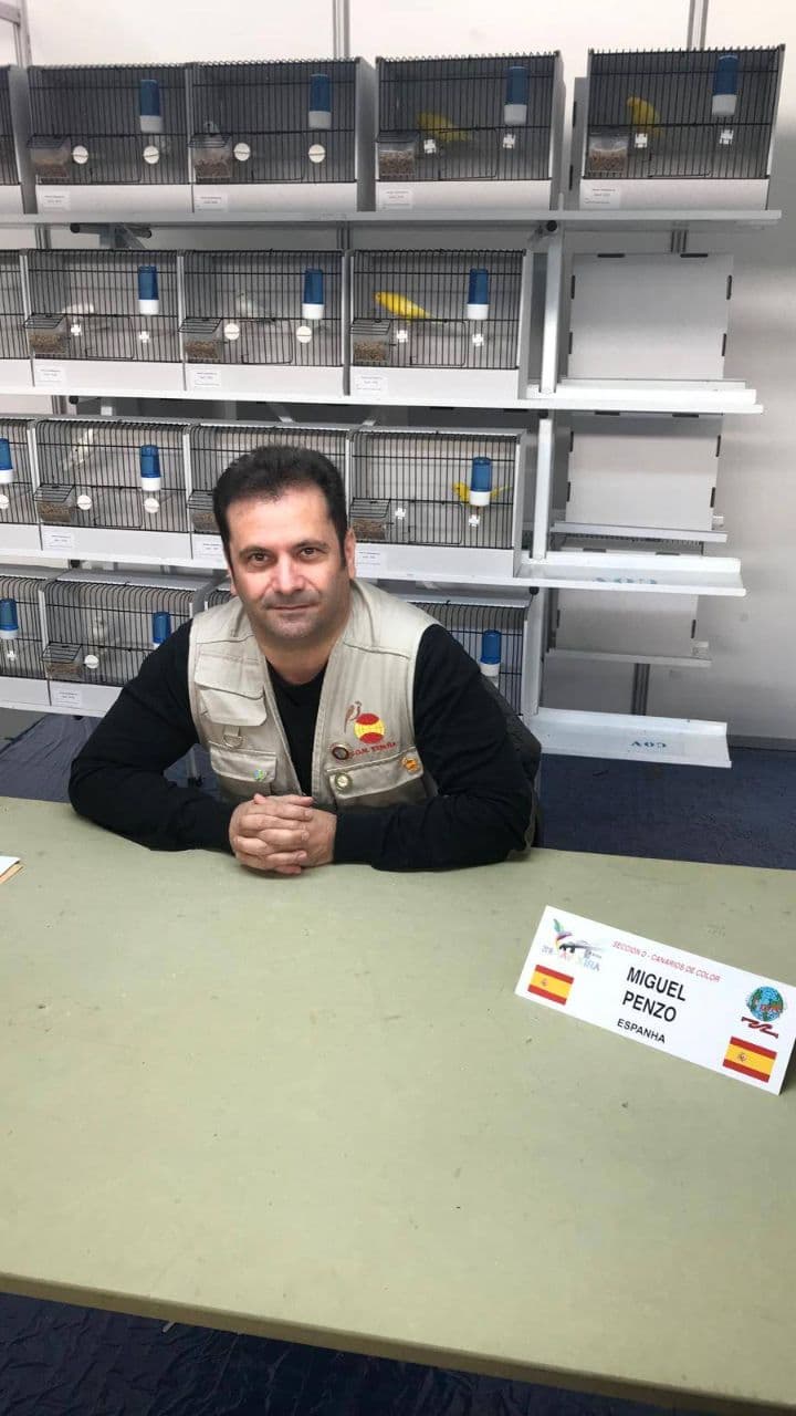 Le championnat de chant de canaris