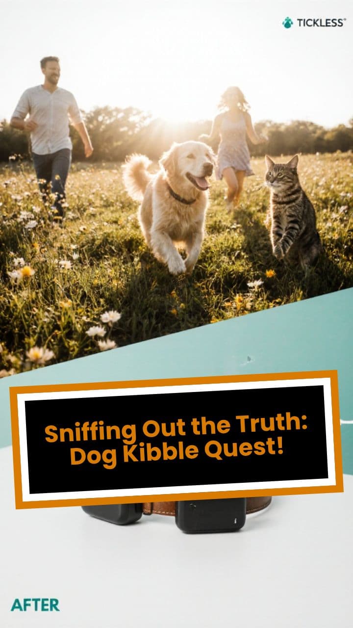 Sniffing Out the Truth: Dog Kibble Quest!