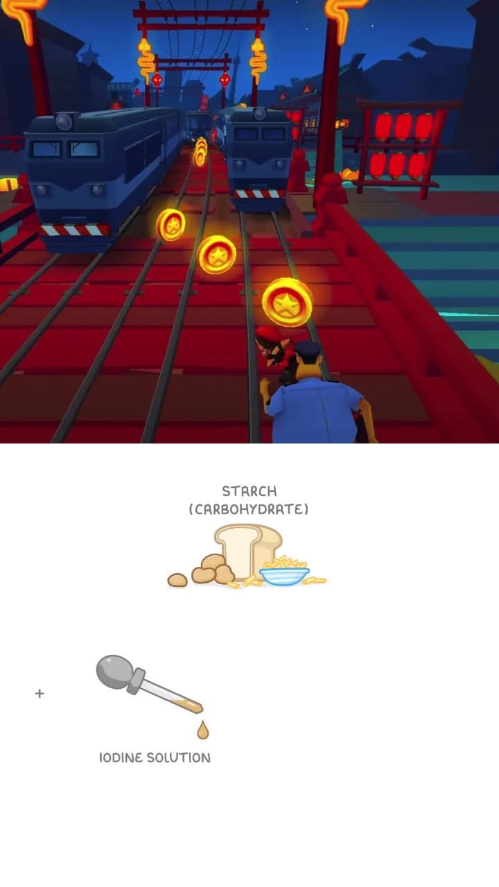 Essential Food Tests for GCSE Biology