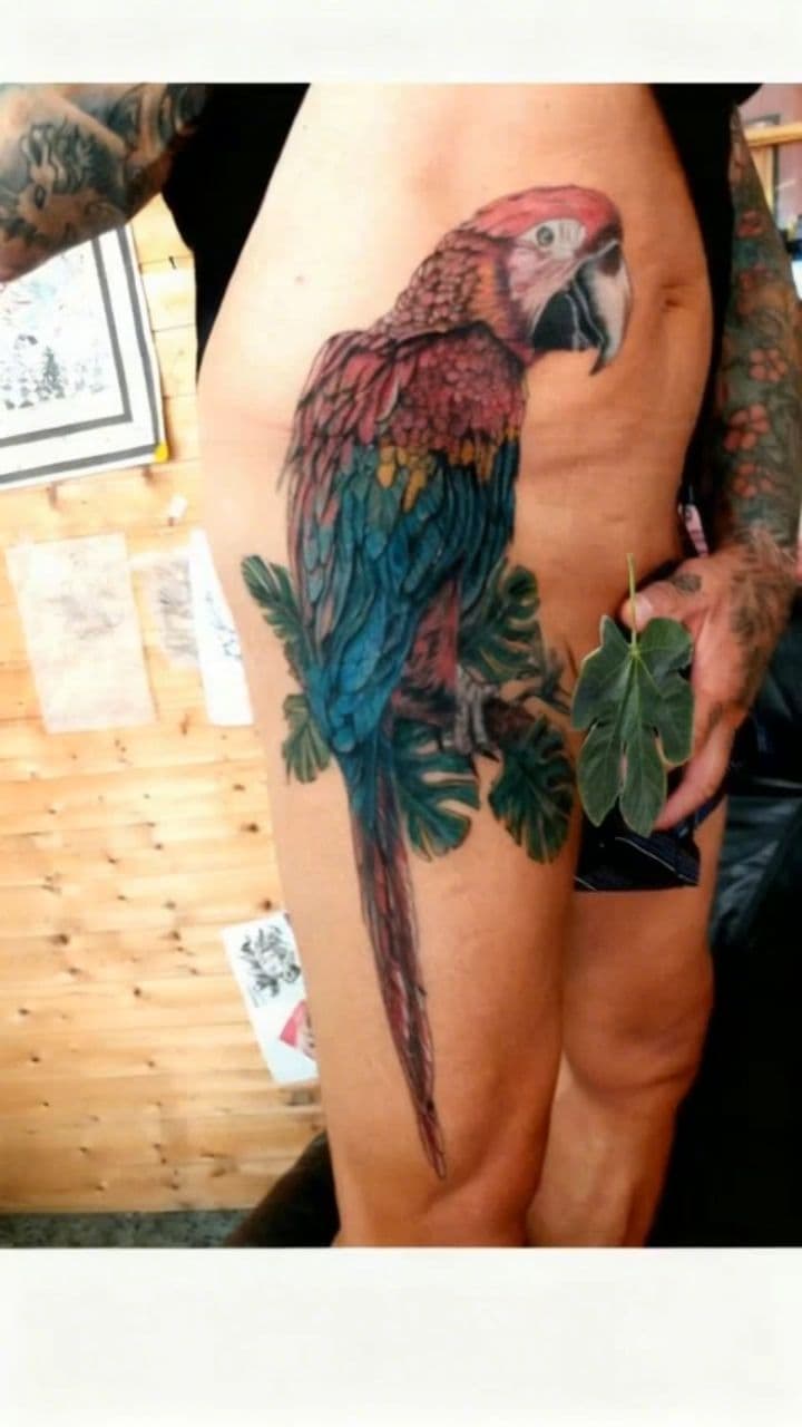 Image transform video