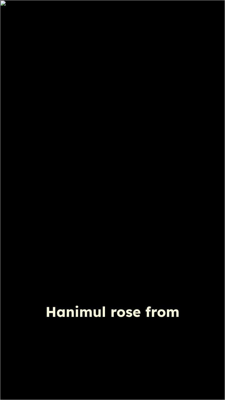 Hanimul: Echoes of Seattle's Grunge