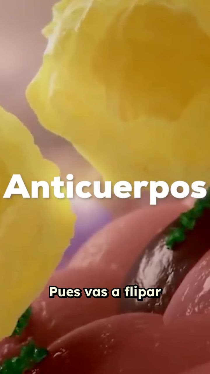 ¿Una Sola Molécula de Azúcar Decide Tu Grupo Sanguíneo?