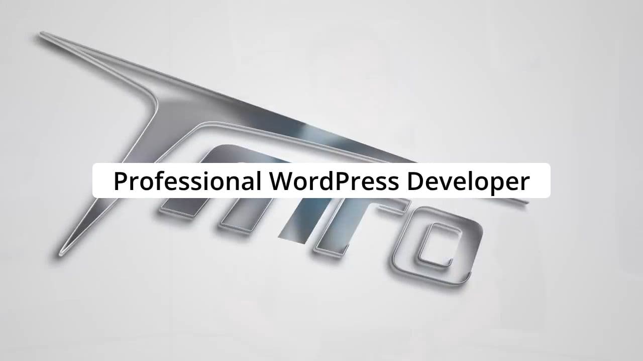 Fiverr WordPress Developer Promo
