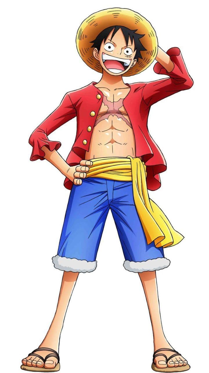Luffy's Confident Stride