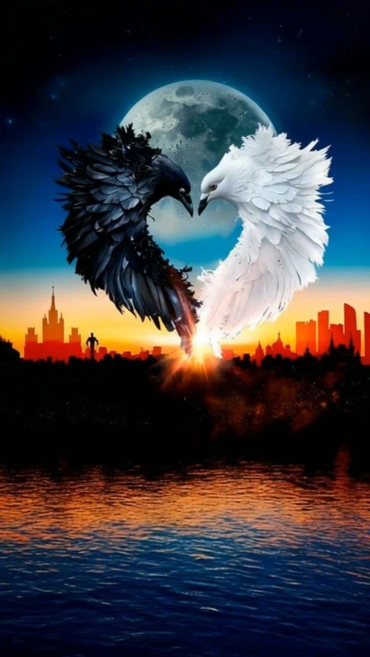 Image transform video