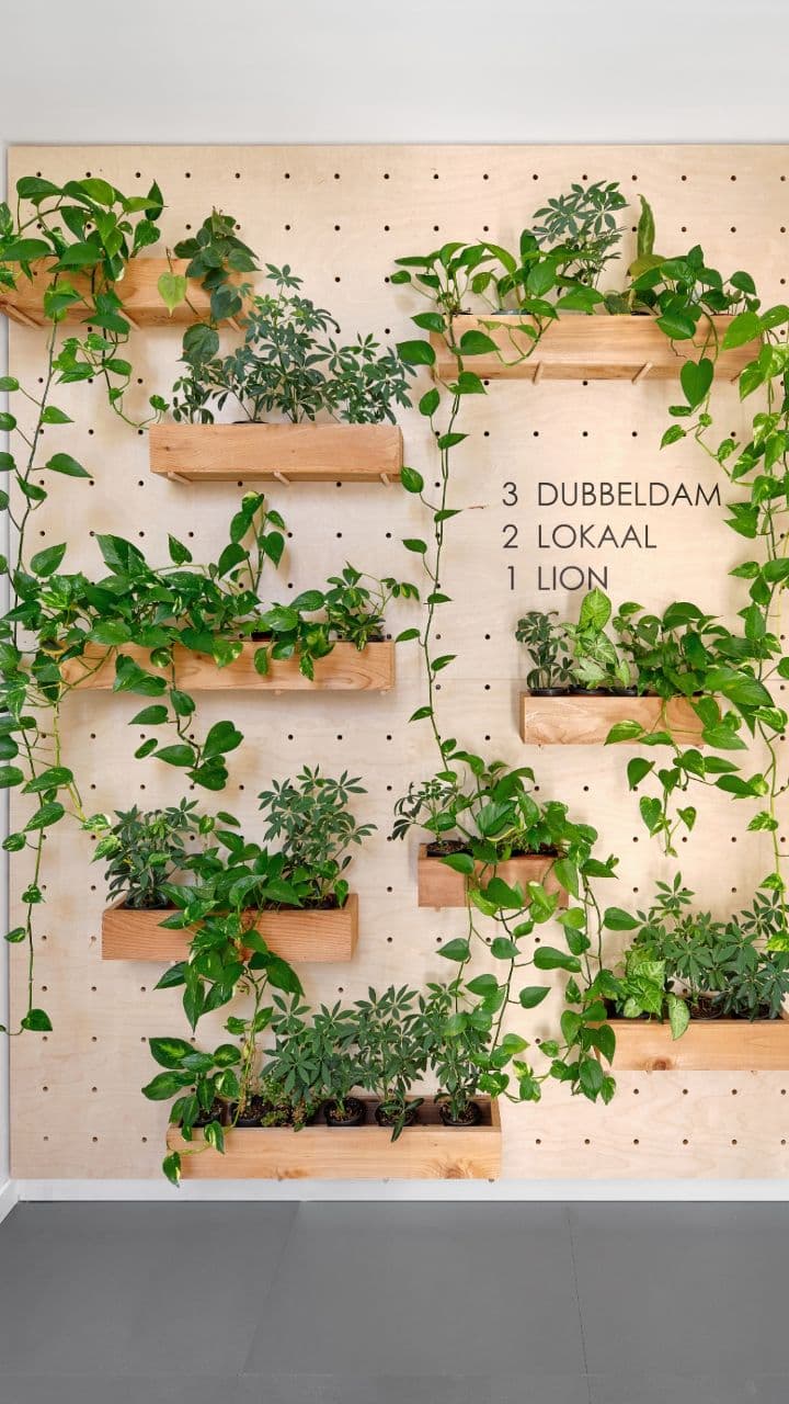 The Elves' Midnight Transformation