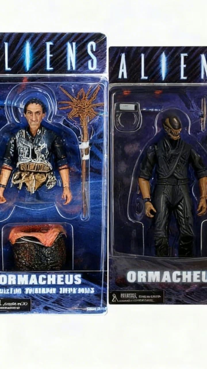 Image transform video