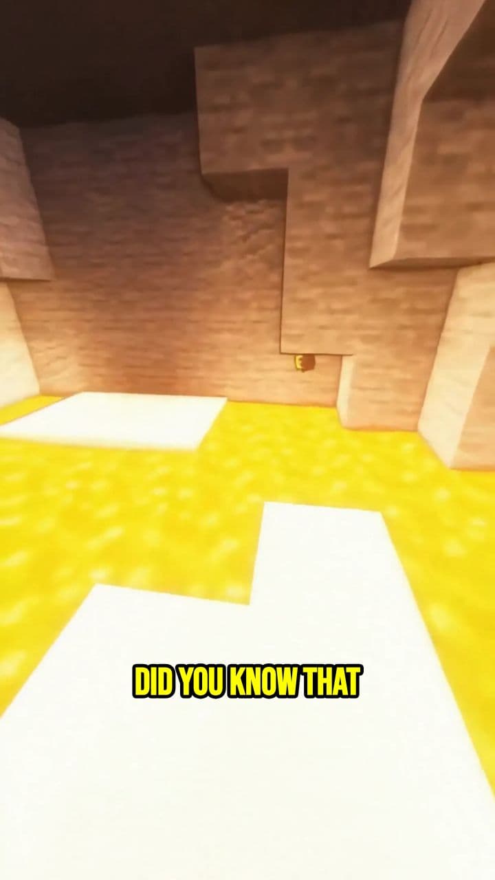 Octopus Intelligence and Unique Biology